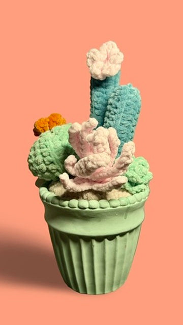 Crochet Cactus Garden – Handmade Plush Plant Arrangement